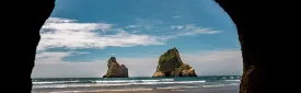 Exploring the World of Caves in NZ: Glowworms to Limestone